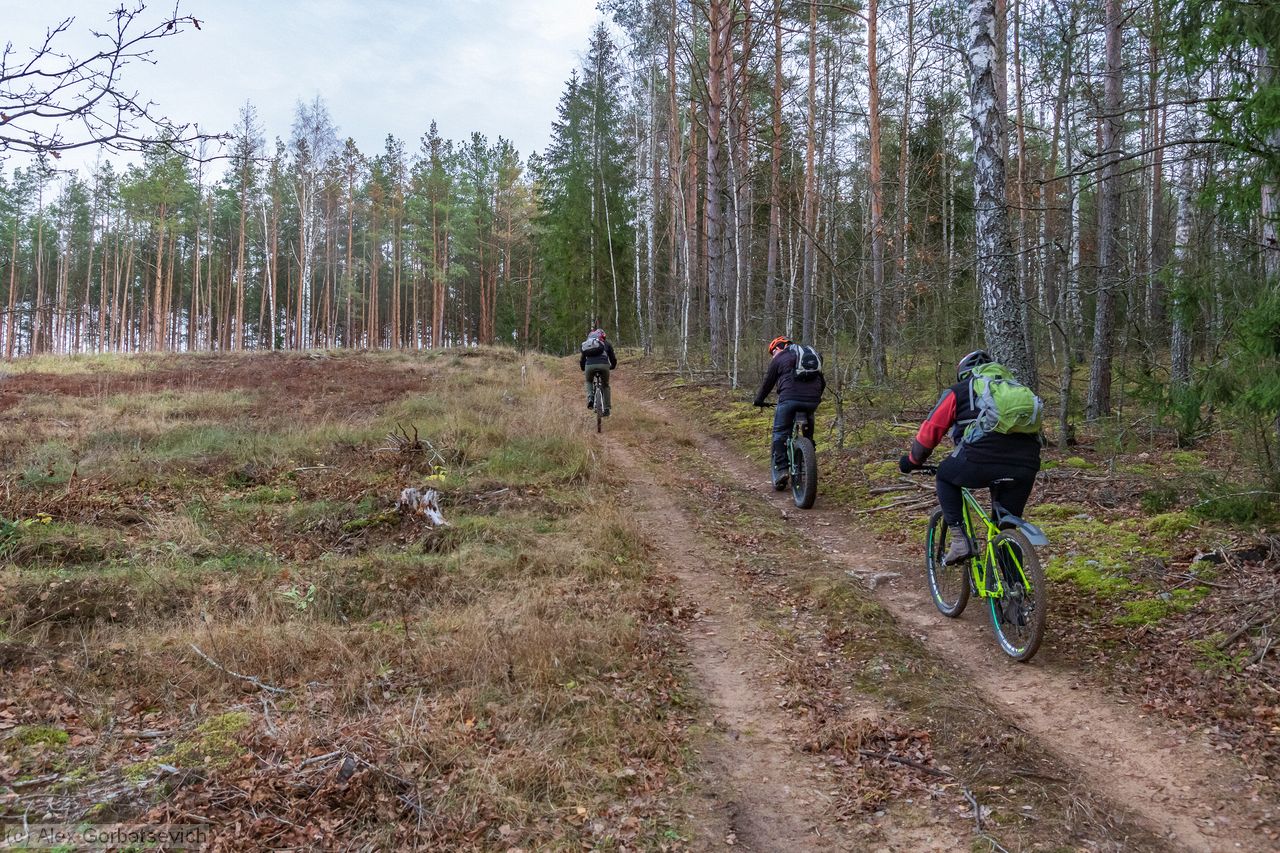 ����� �������