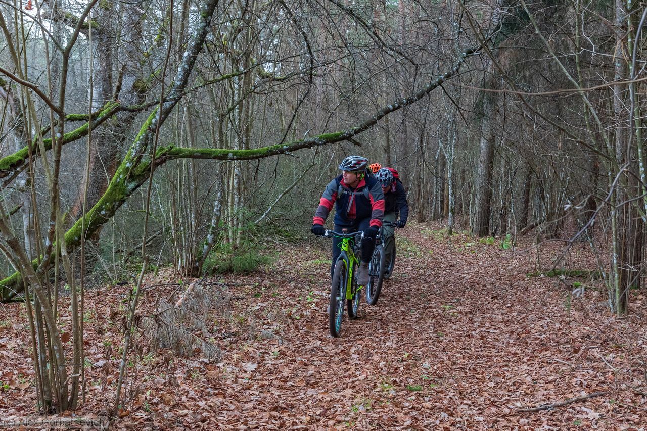 ����� ������