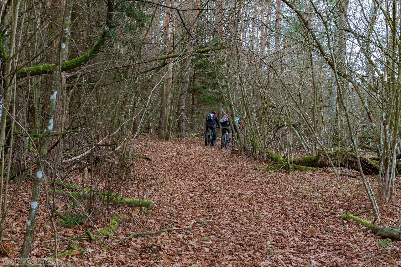 �������� ������