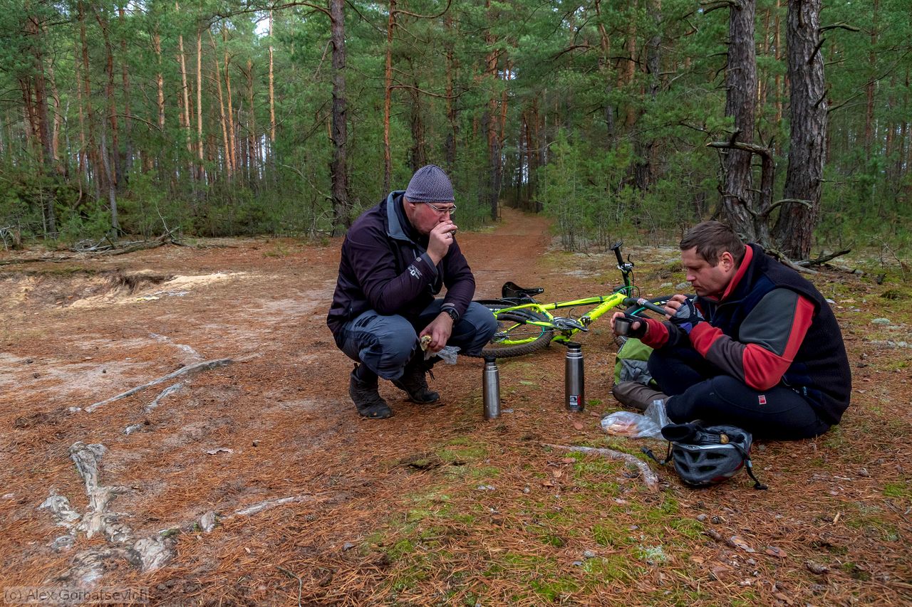 ����� ���������