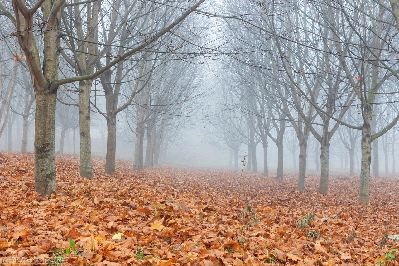 ��������� �� �������