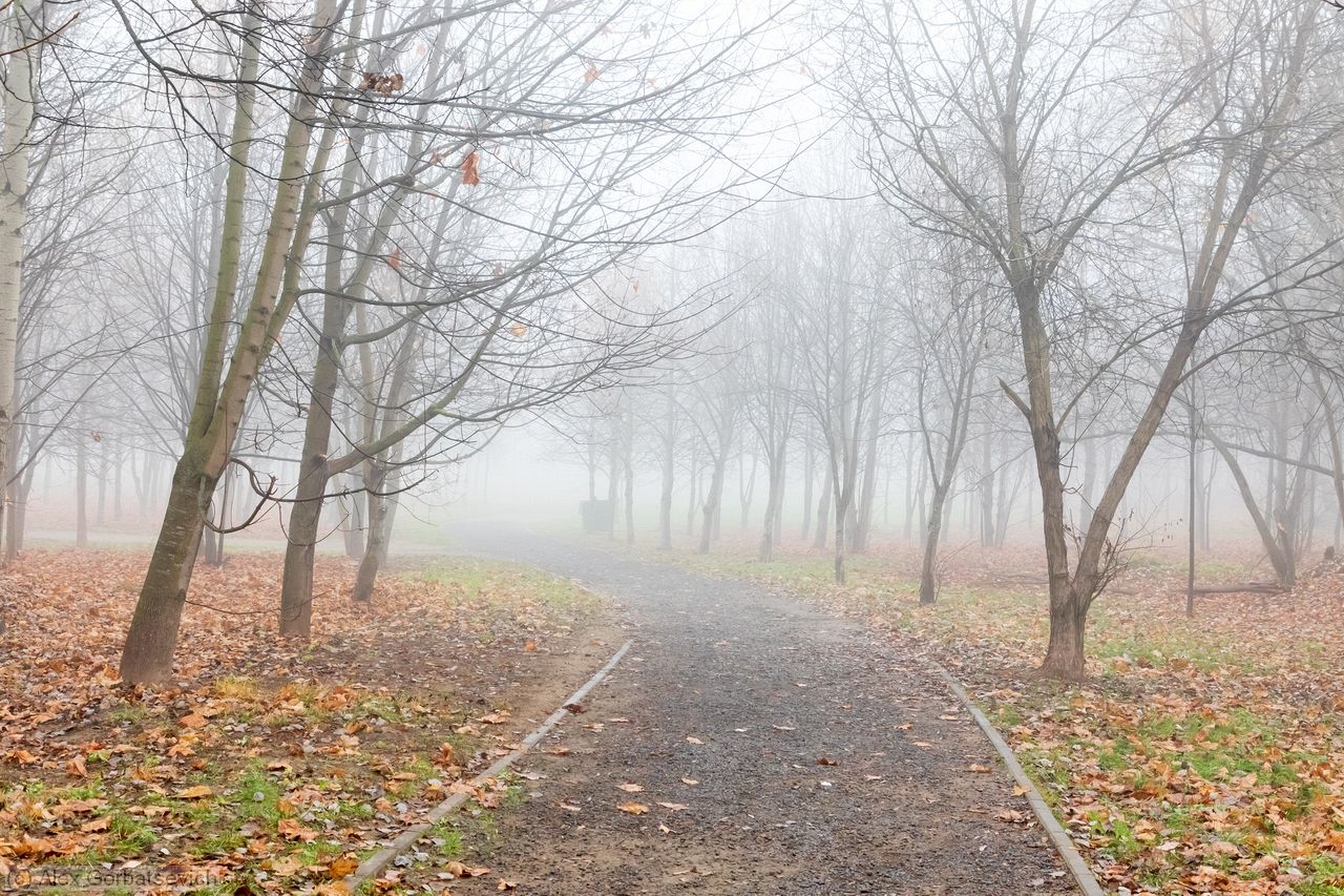 ������ � �������������