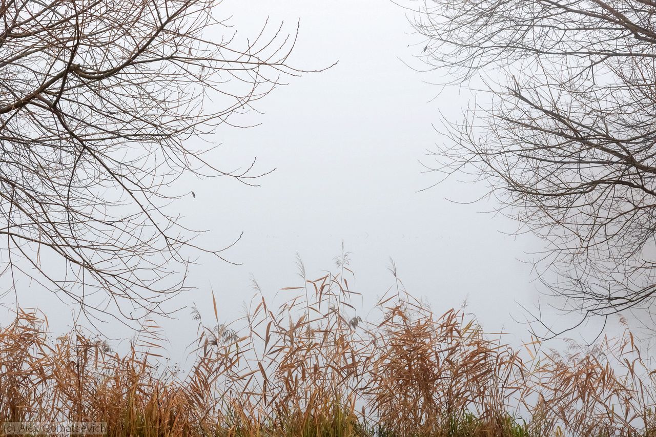 �� ���� �����