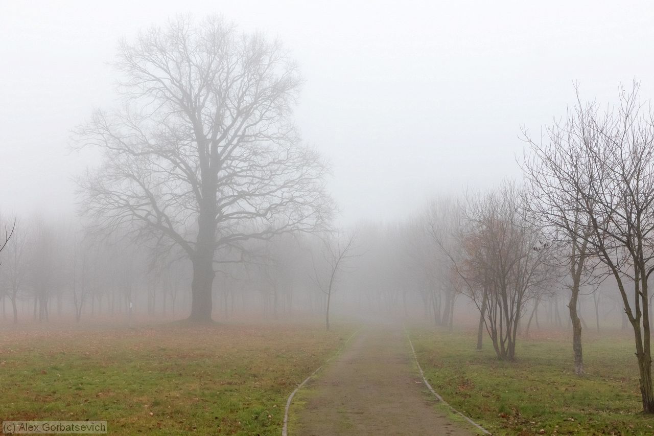 ��� �����������