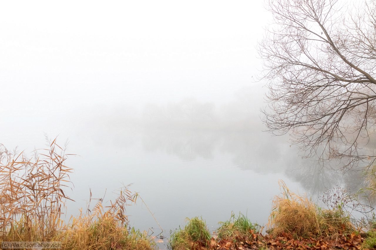 ���-�� ��� ...