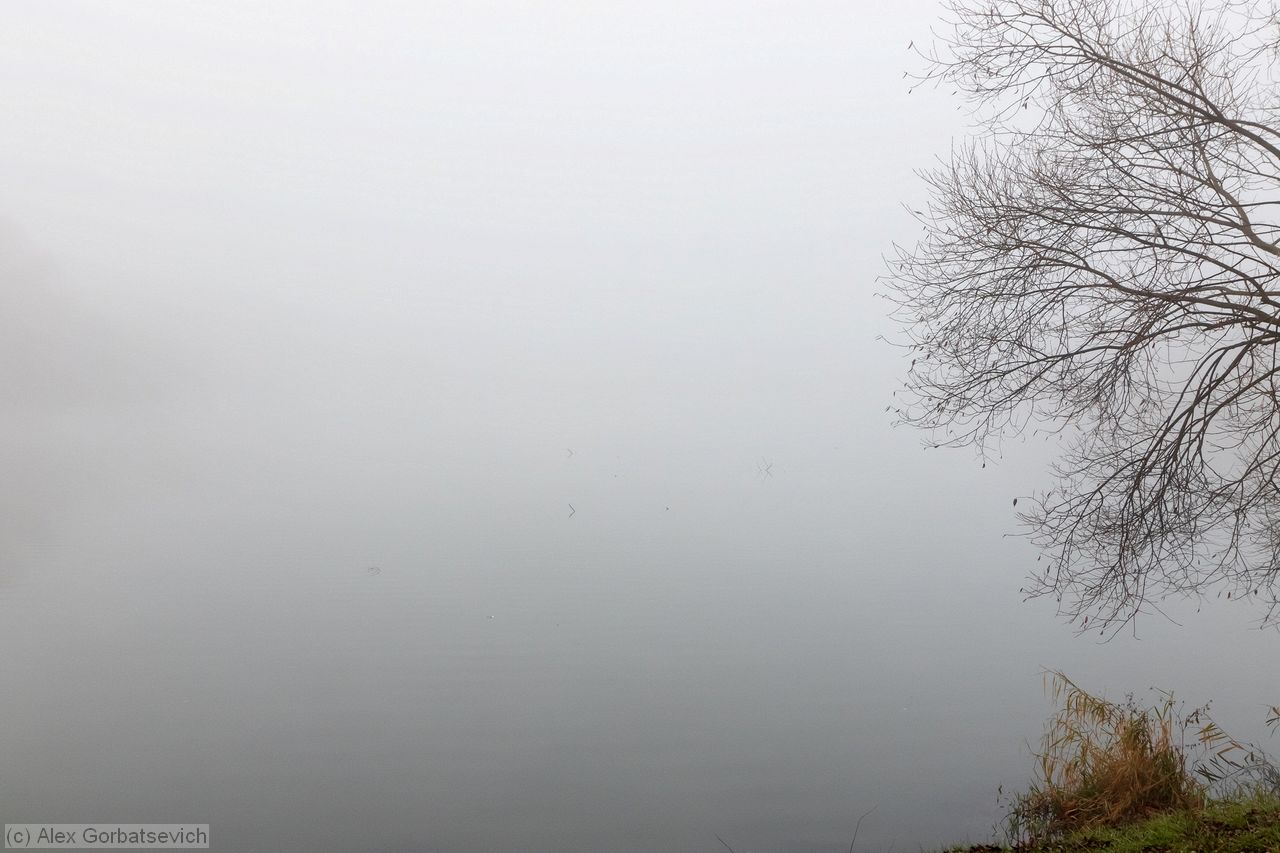 ���� �����