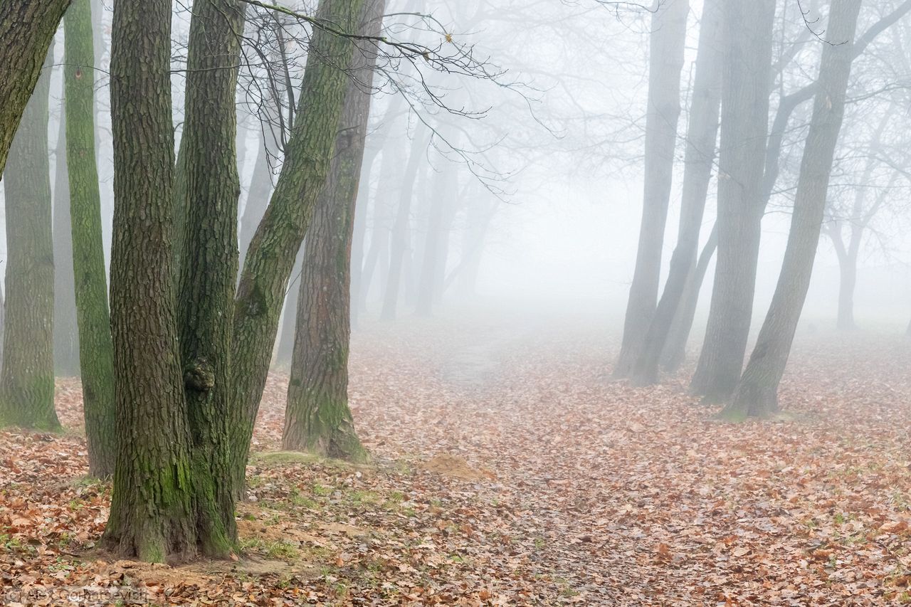 ������ � ������