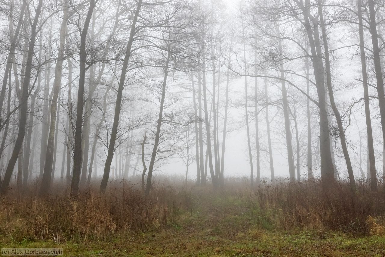 ����� � ����