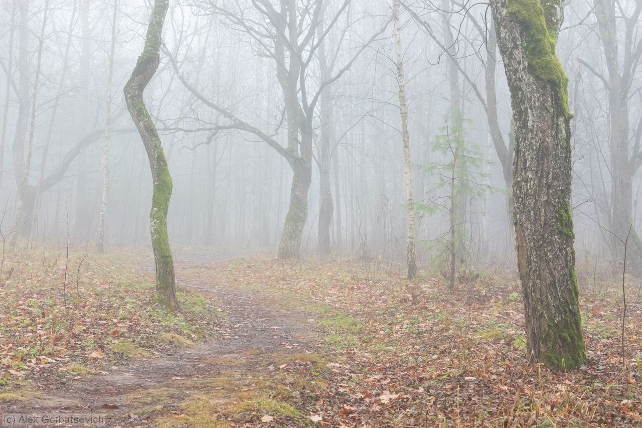 �������� ������