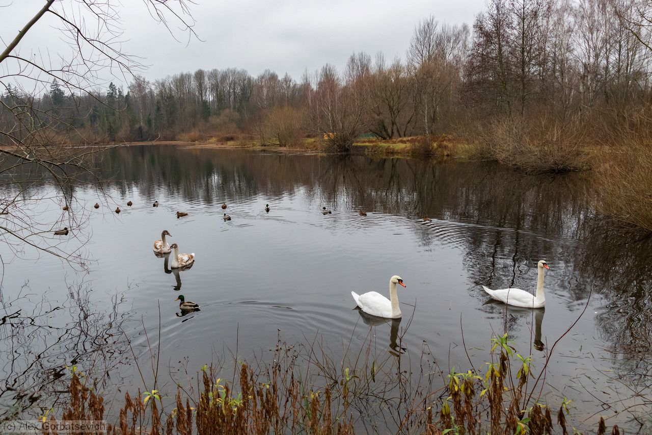 �������