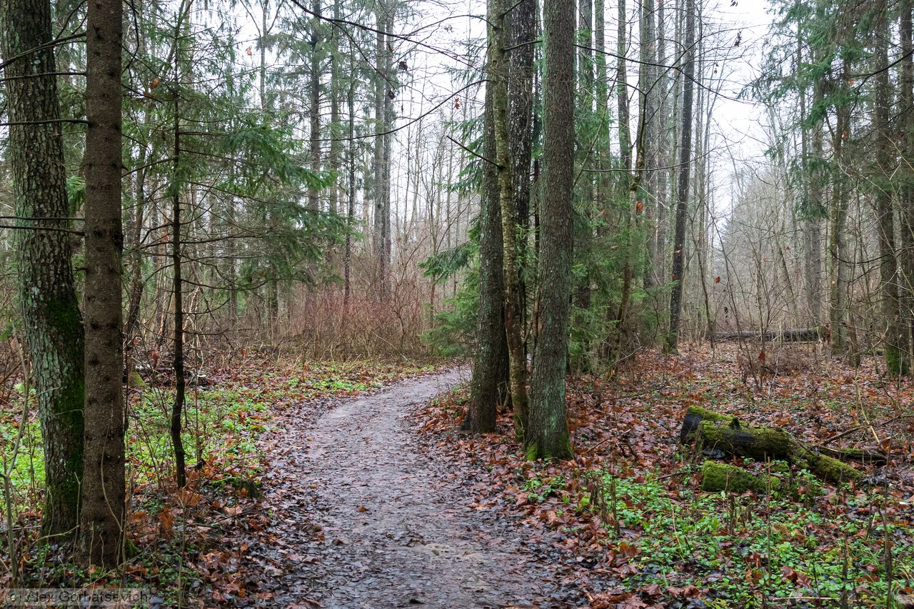 ������� ���