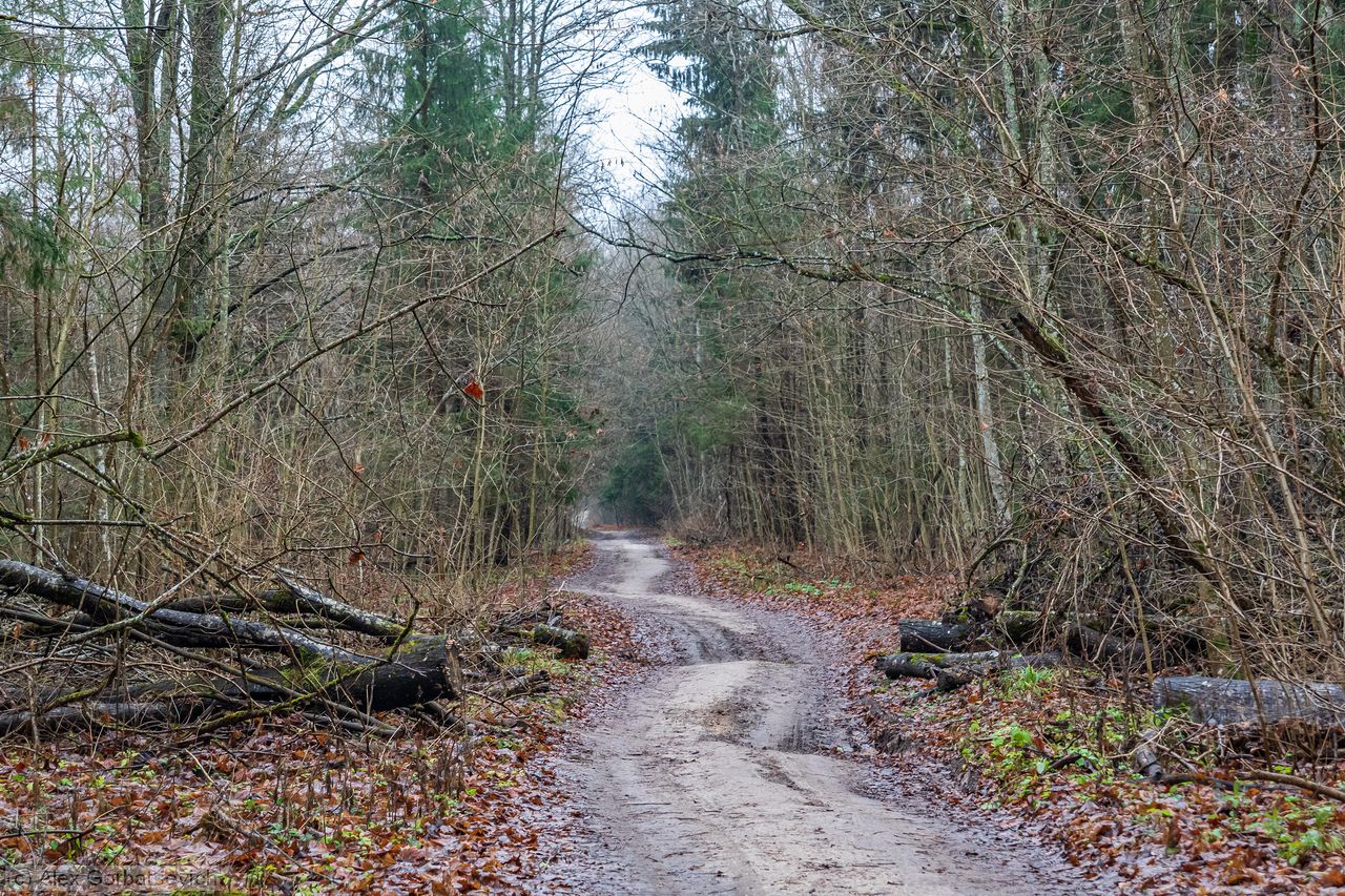 ������� ���