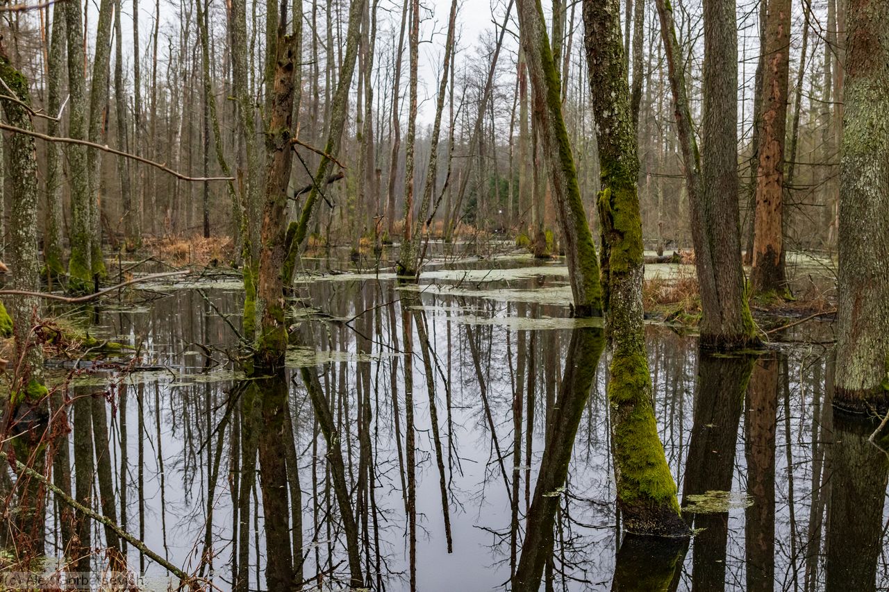 �������� �������