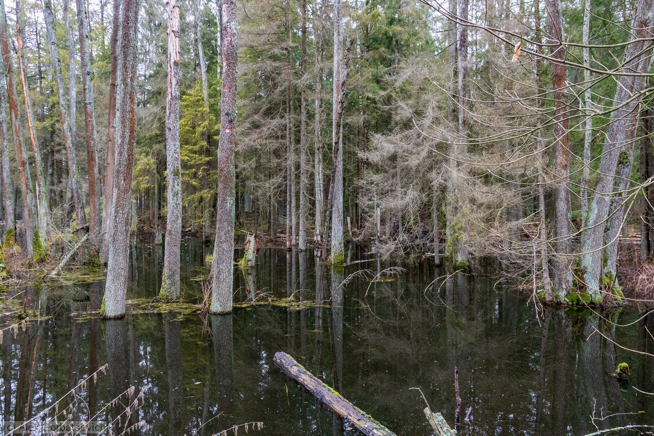 �������� �������