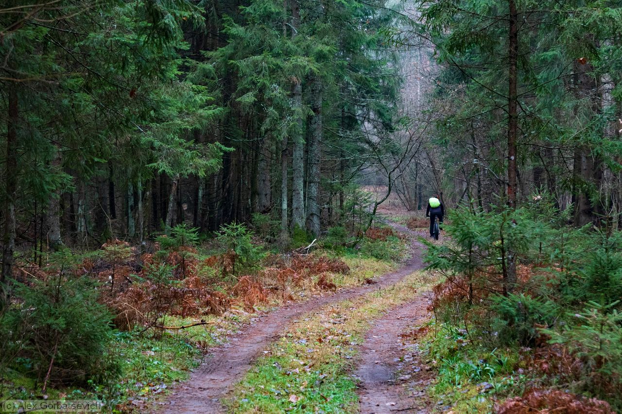 �������� �������