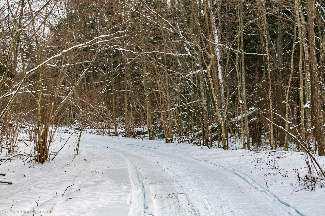 ������ ��������� ������