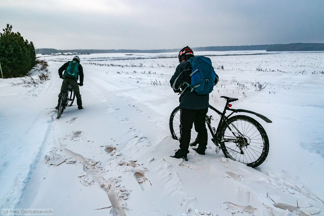 ������ � �������