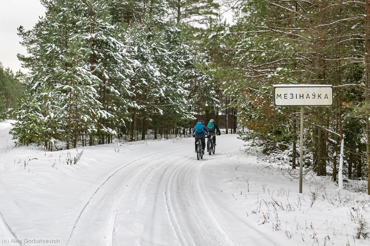 � ���������