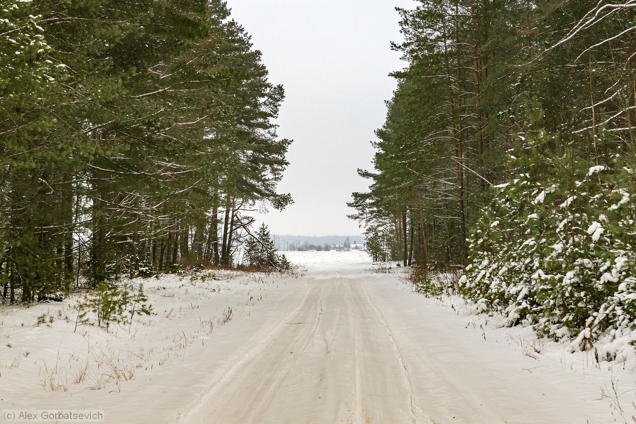 ������ ����� ���