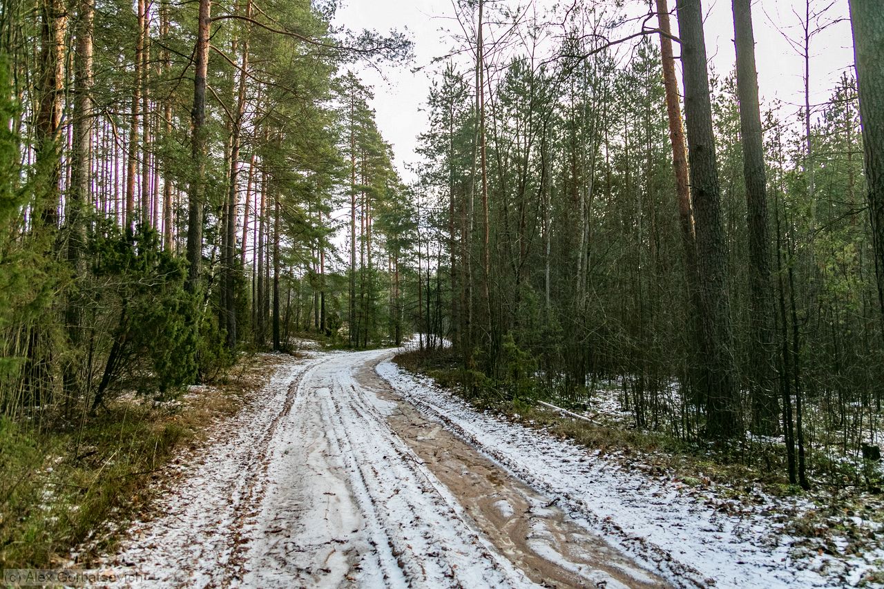 ������ ������