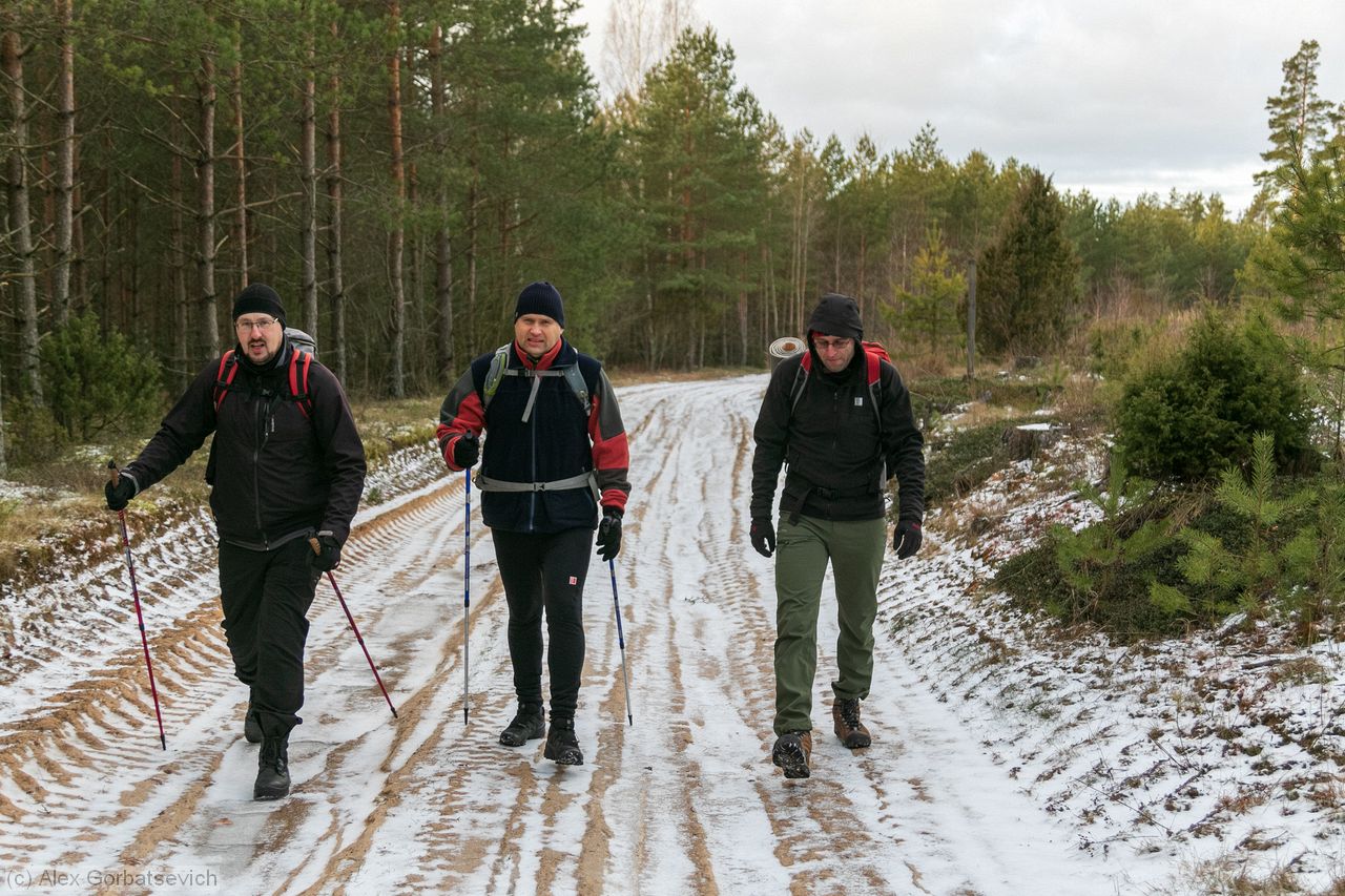 3 ��������