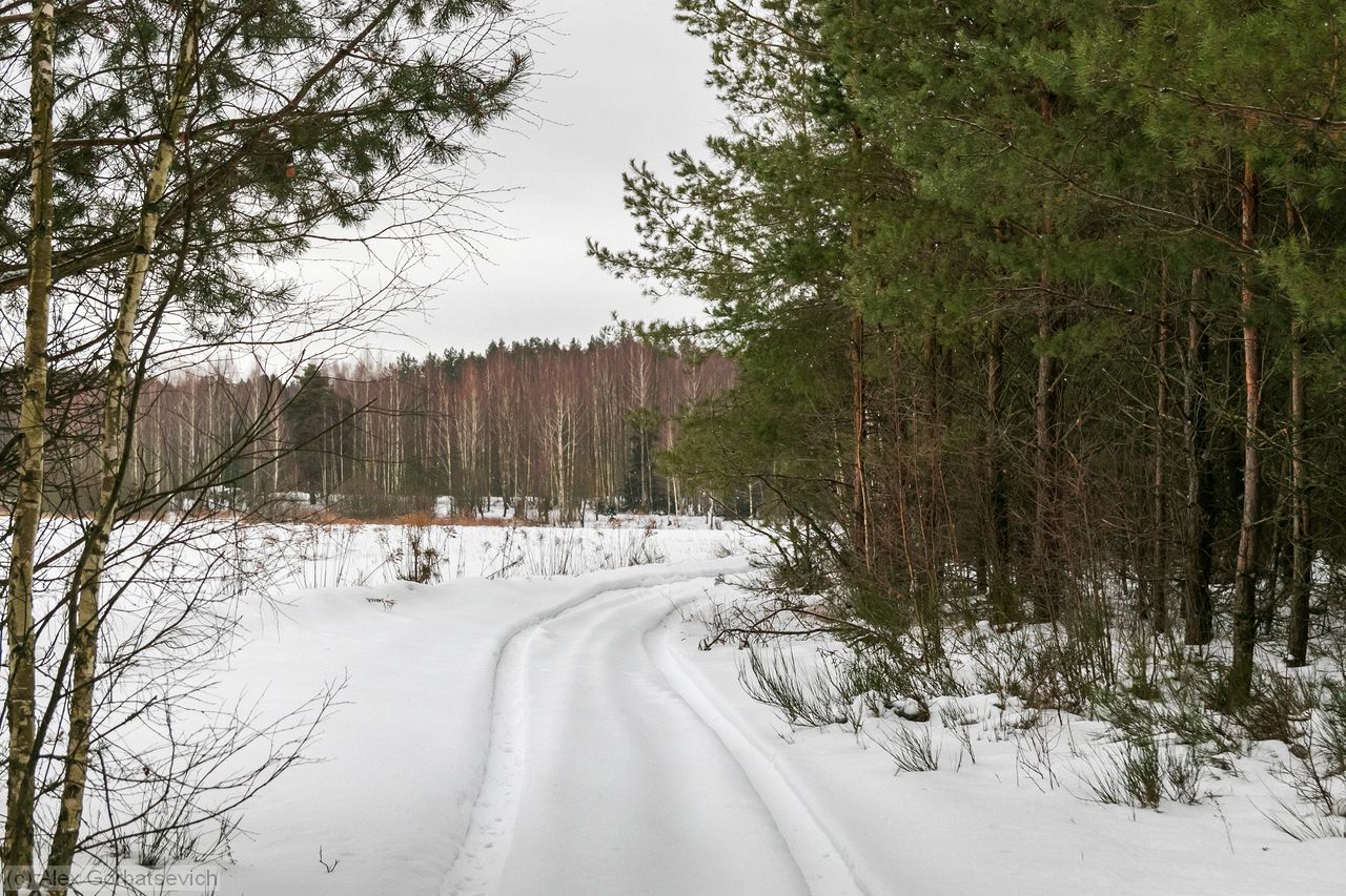 ������ � ������� ����