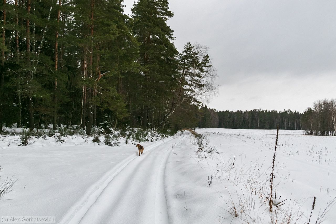 �� ������