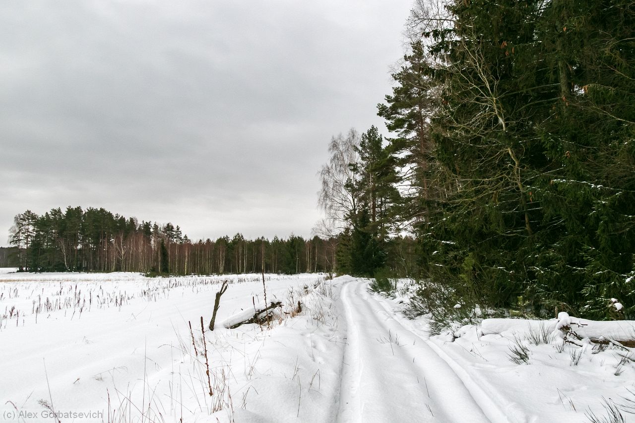 �� ������