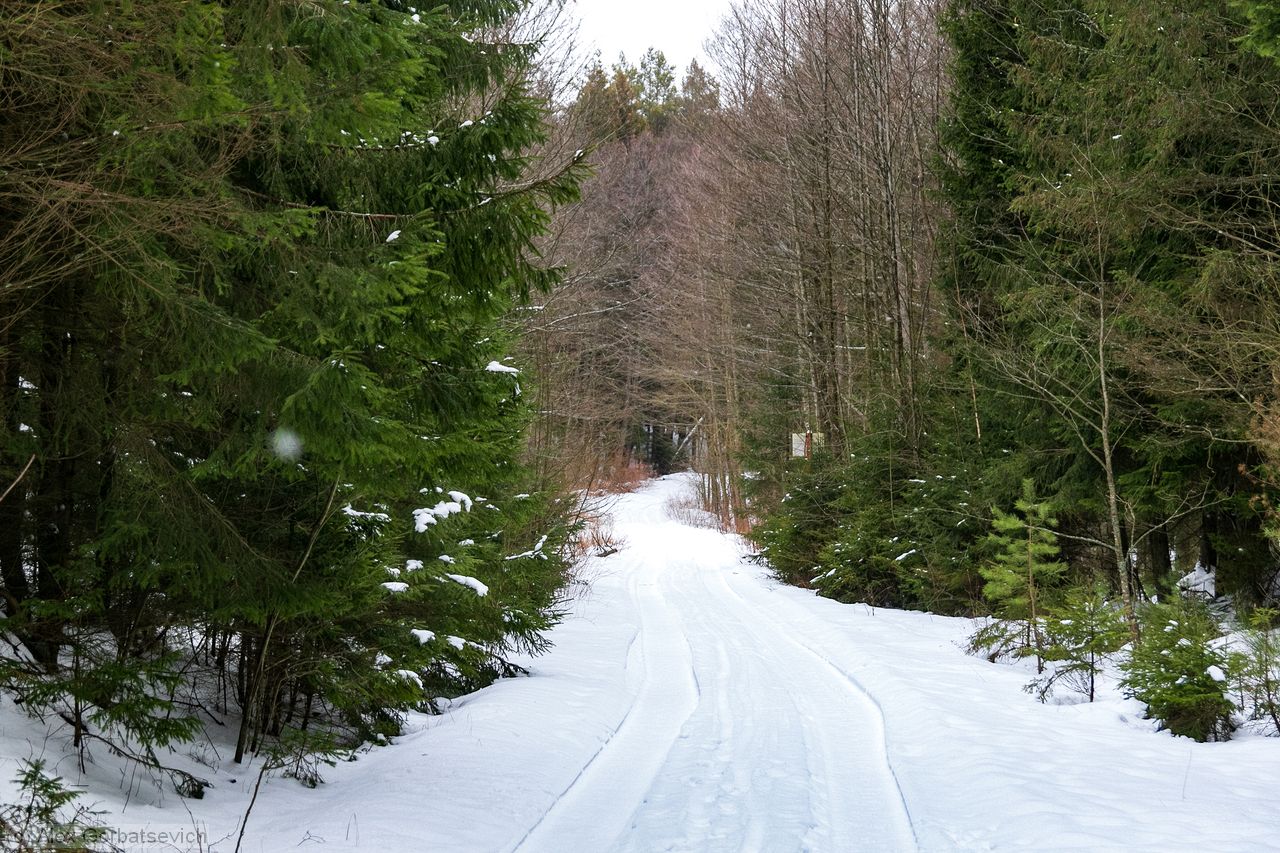 ����� ���