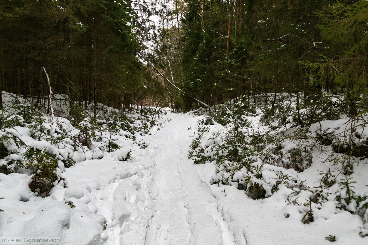 �������� �����