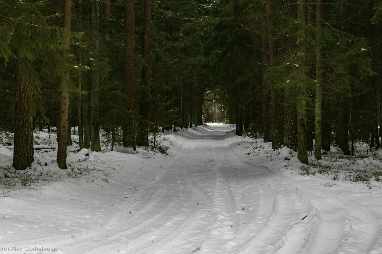 ���� � ����� �������