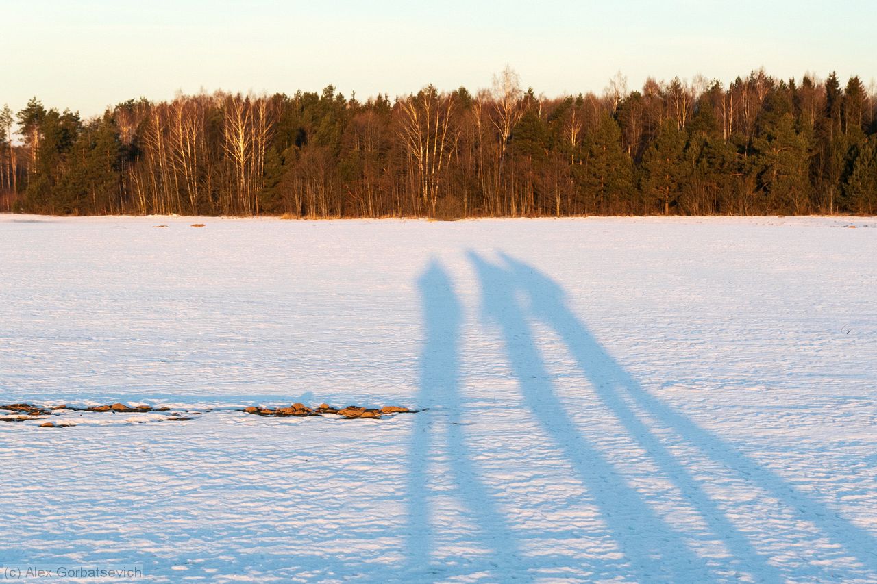 ������� ��������������