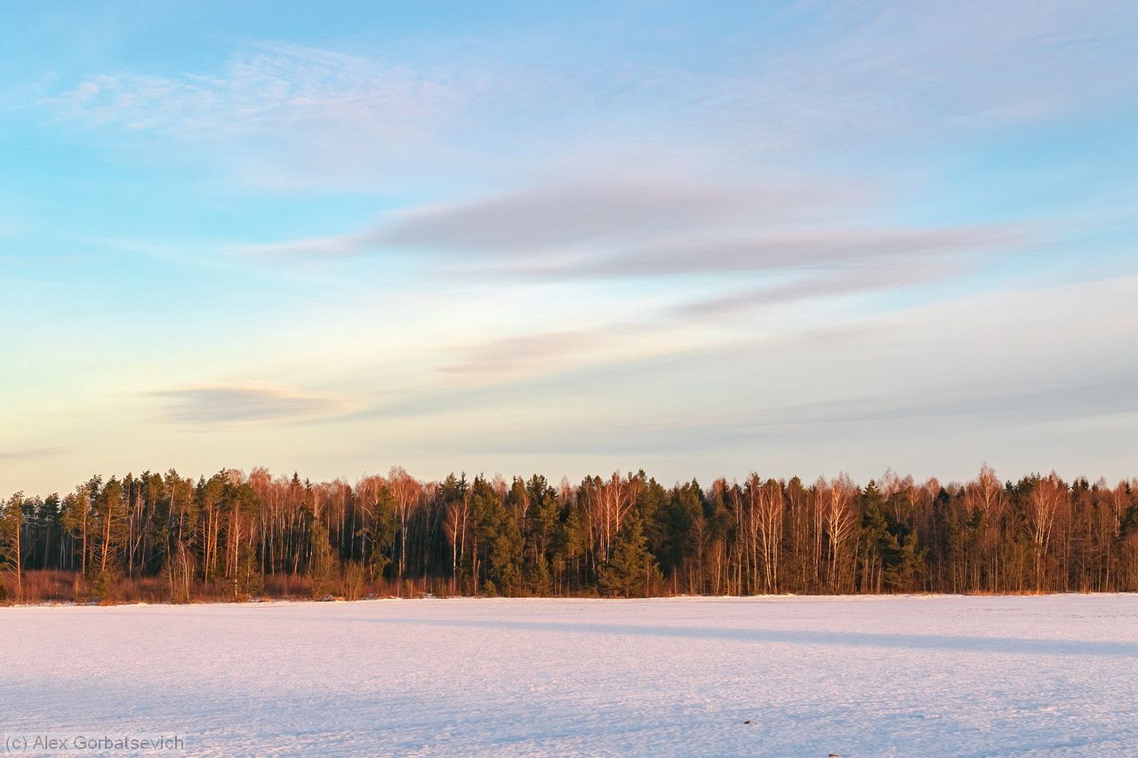 �� ��������