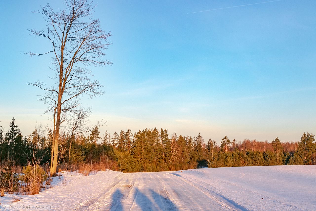 �� ������