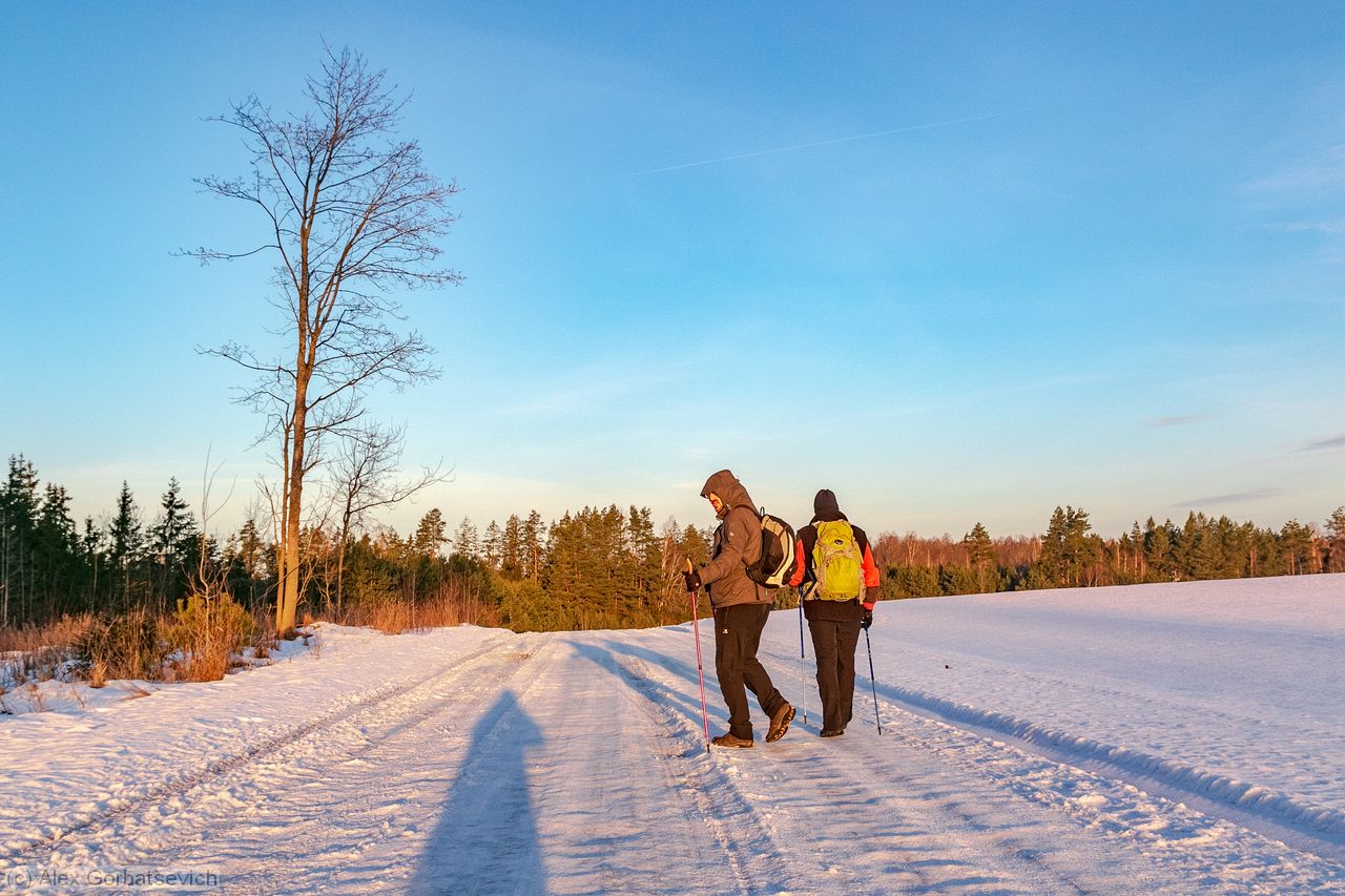 �����, �������. �������