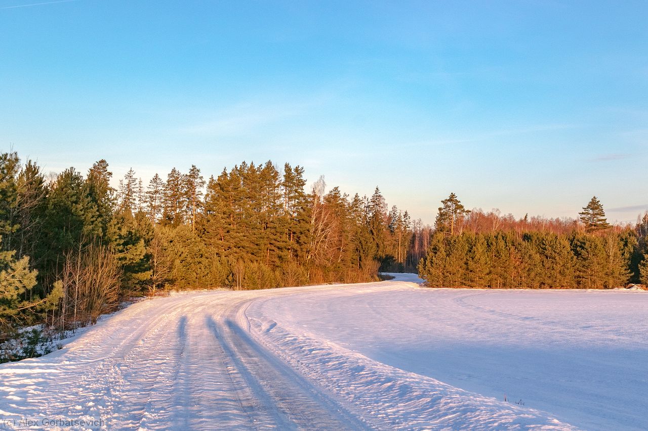 ������ ������