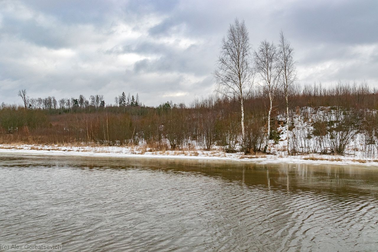 ����. ���������� ����