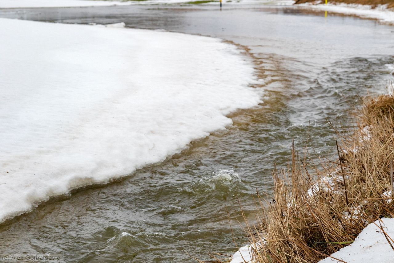 �������� �����