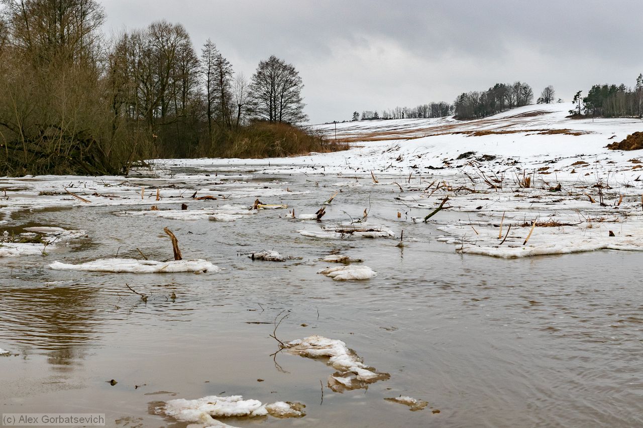 �� �� ����, �� �� ������