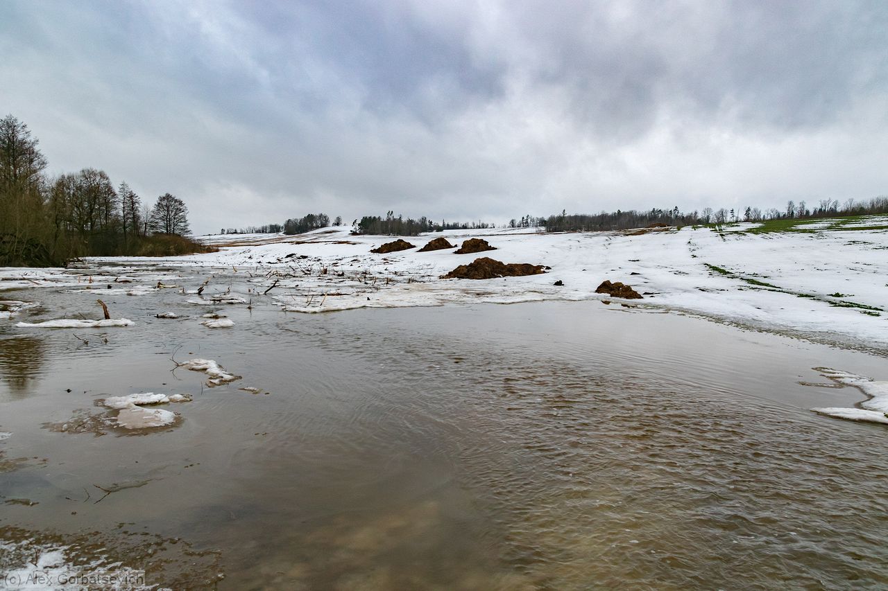 ����. ������ ����