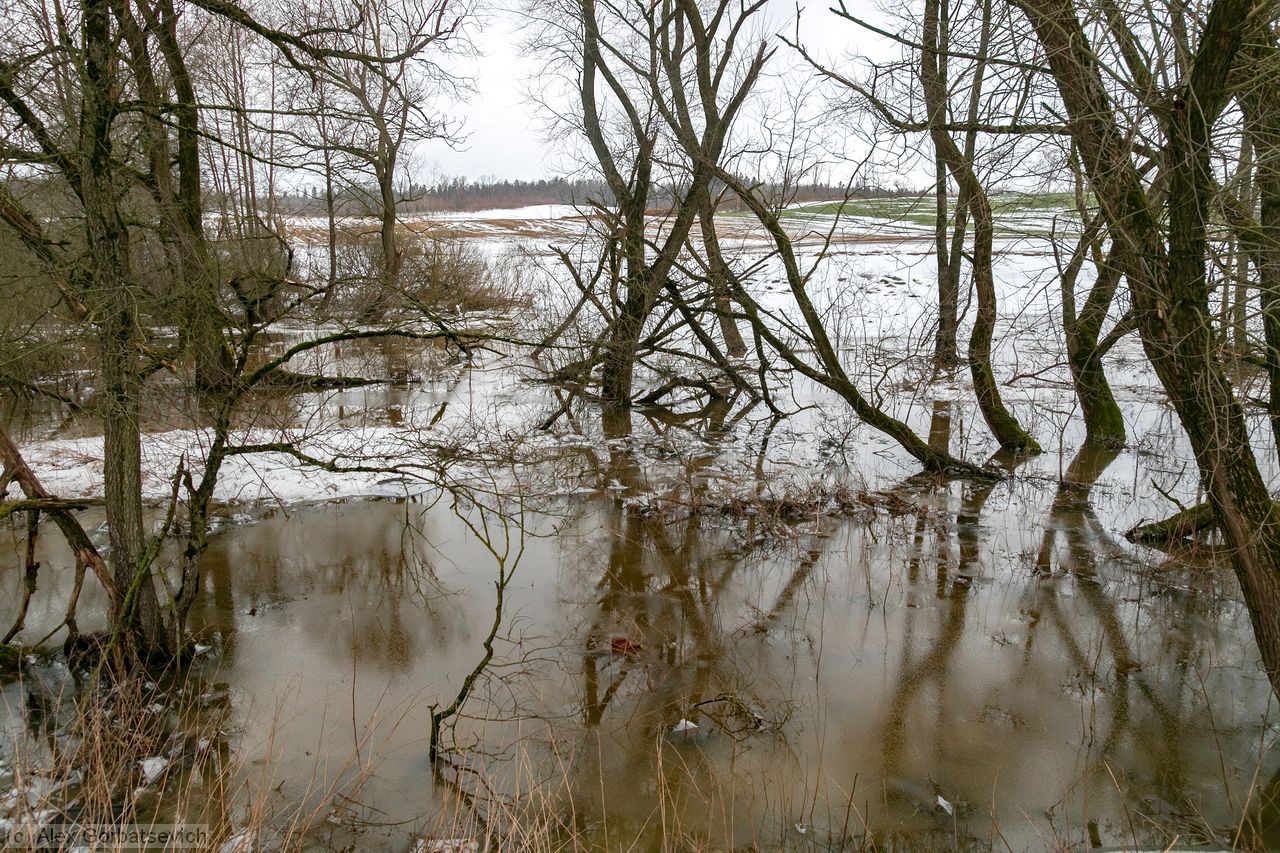 ��������� ���