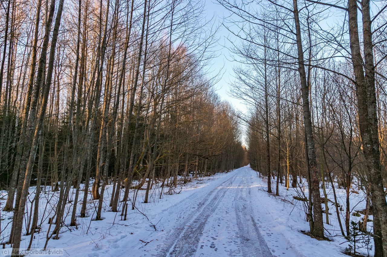 ������ � ����