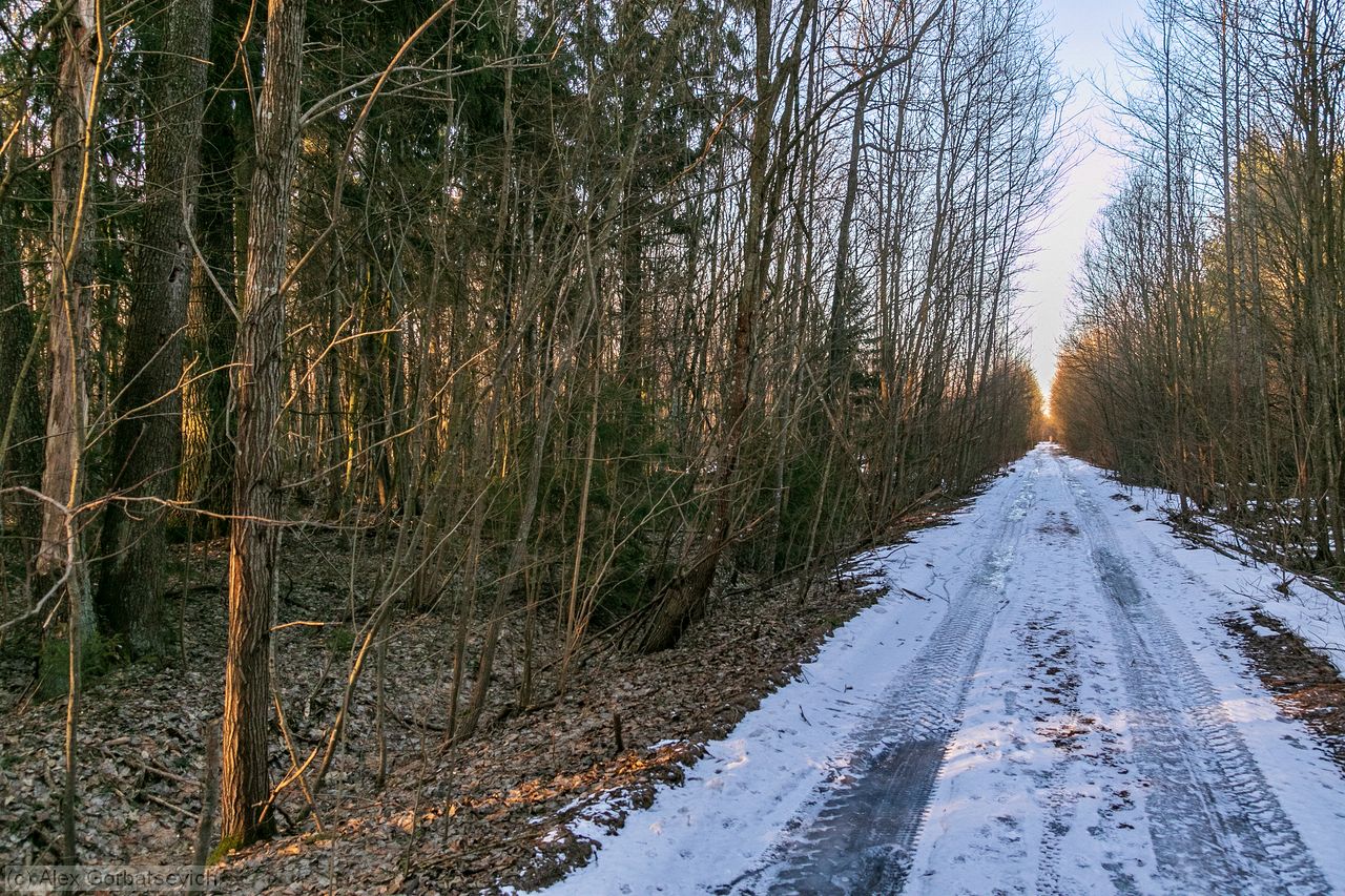 ������� ������