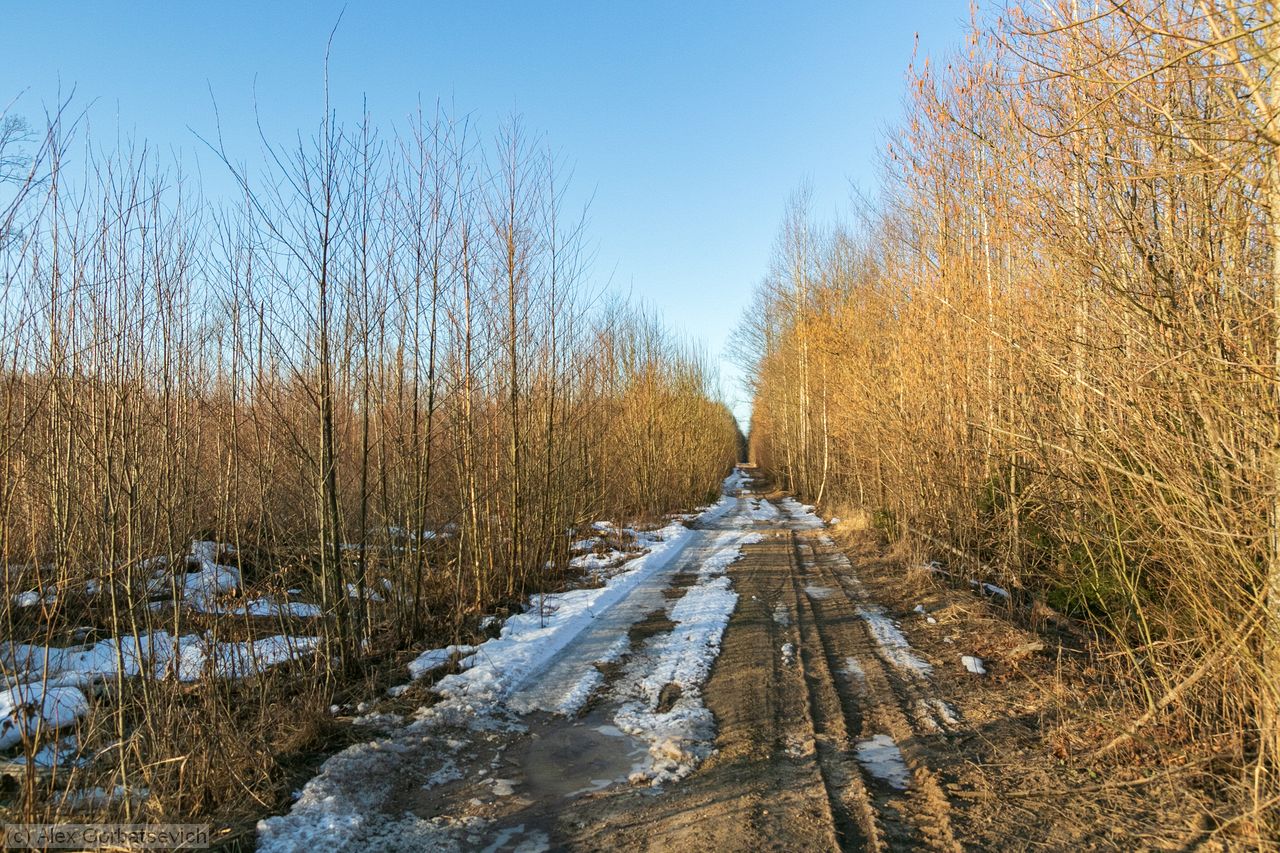 � �����������