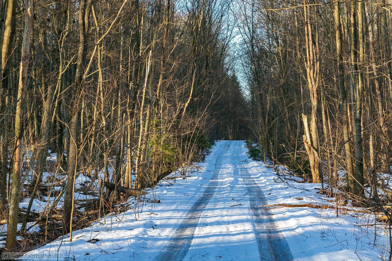 � ���� ��� ������