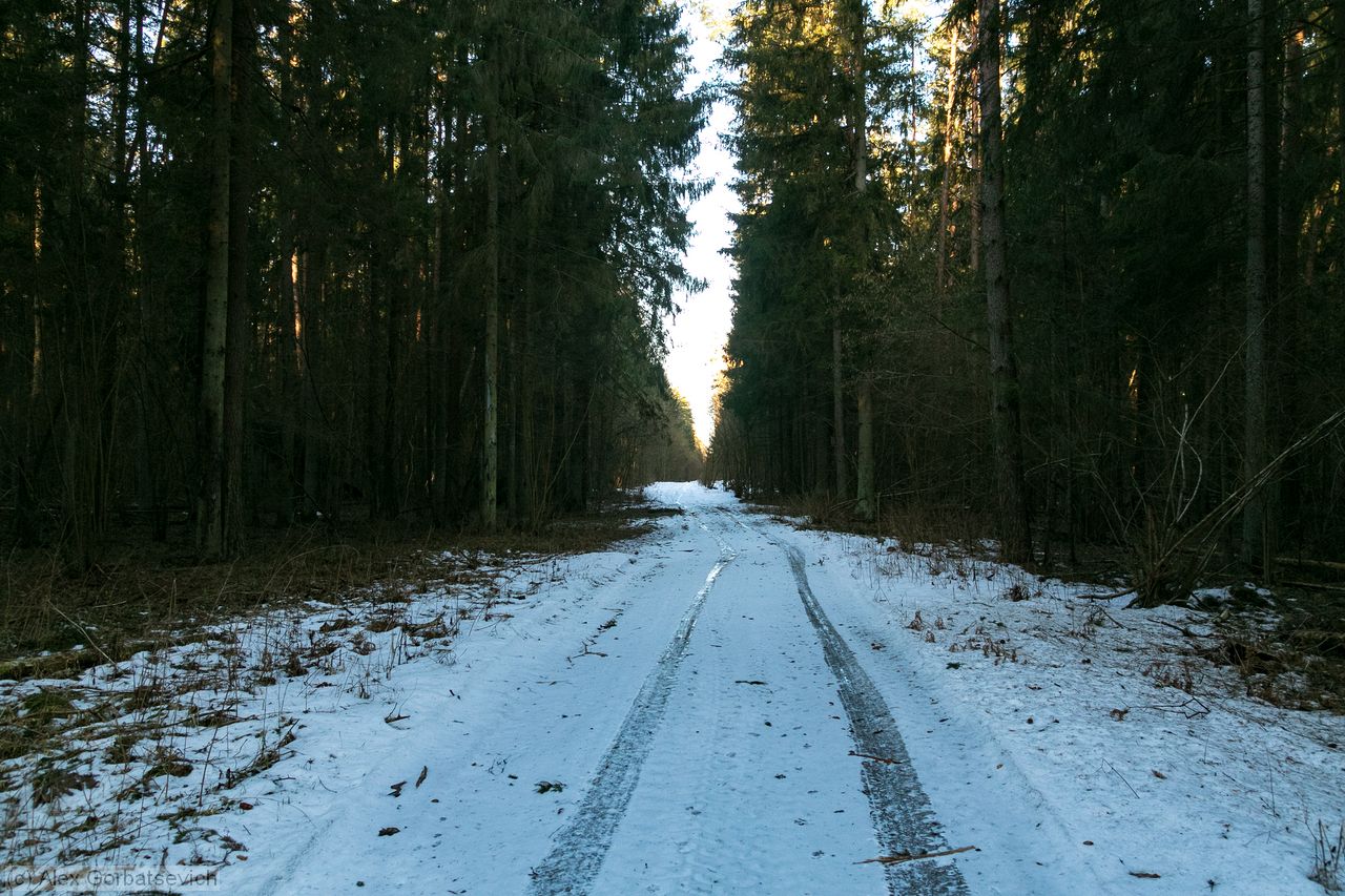 ������ ����� ���