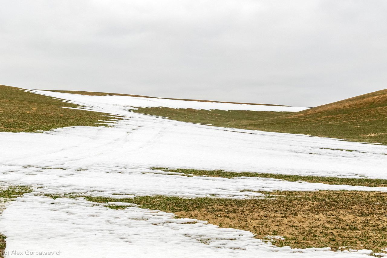 ��� ������� �����