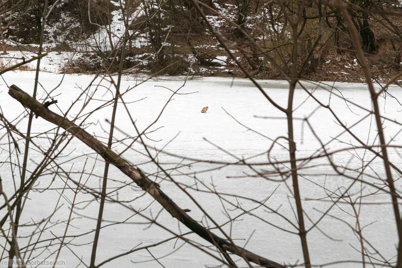 ������ �����.. ��� ���������� � ����� �������