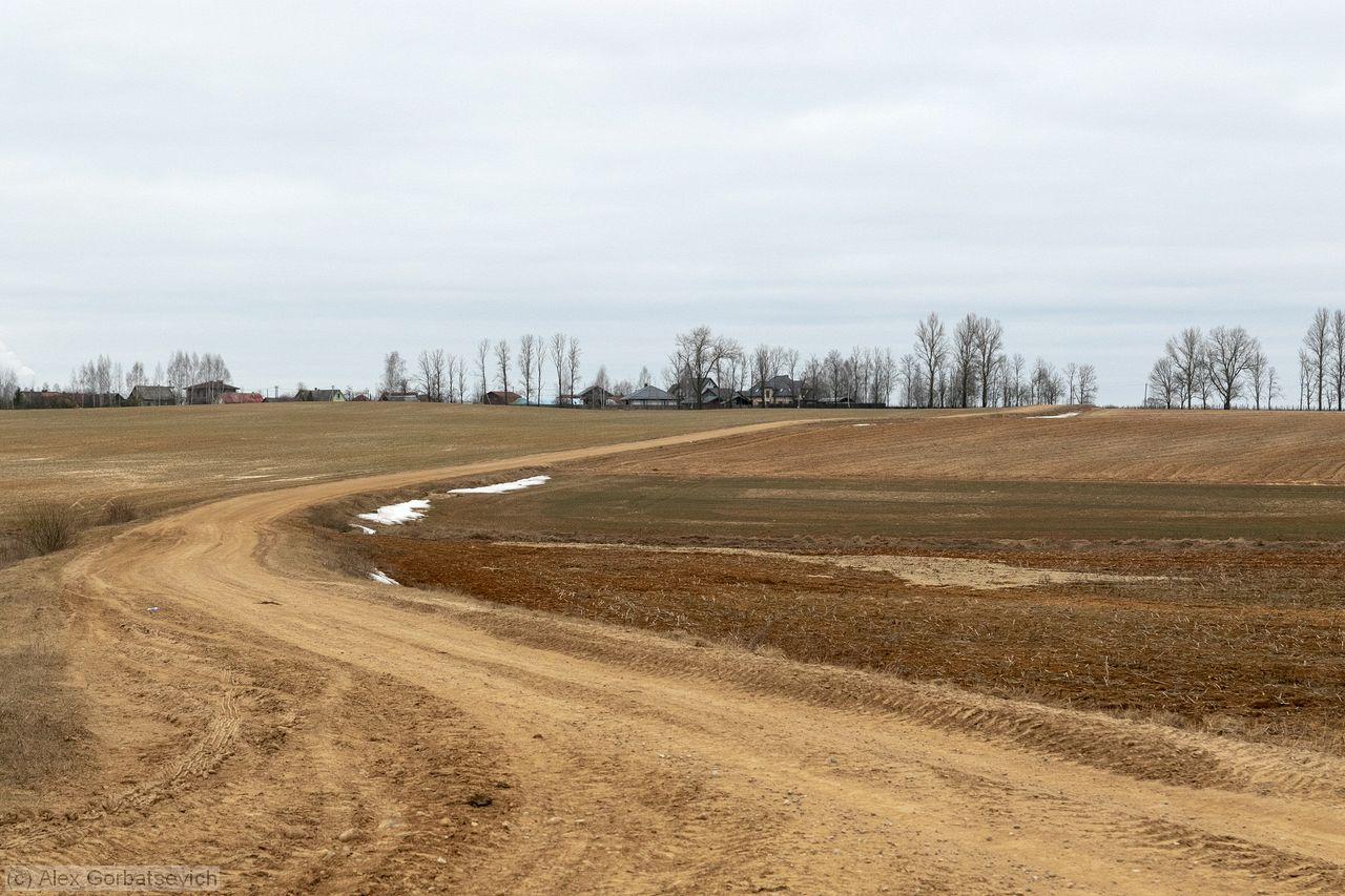 ������ ����� ����