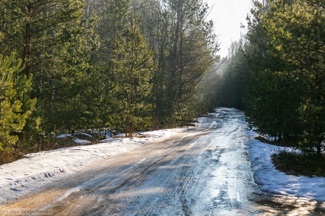 ������ ������